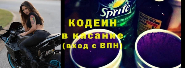 индика Арсеньев