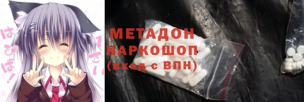 индика Арсеньев