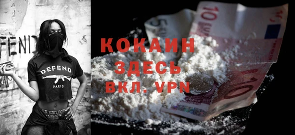 индика Арсеньев